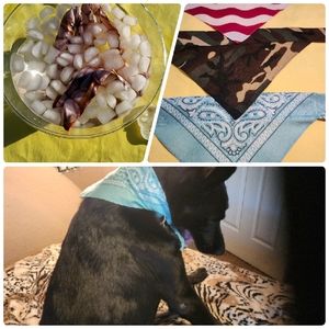 Camo Water Beads Reusable Doggie  Neck Cooler Bandana HYDRATE and STAY Cool